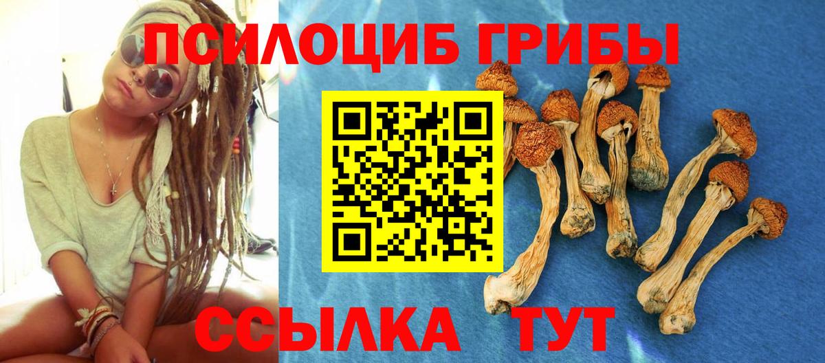 Галлюциногенные грибы Psilocybine cubensis  купить наркоту  Брянск  Псилоцибиновые грибы Cubensis  Вход с VPN 